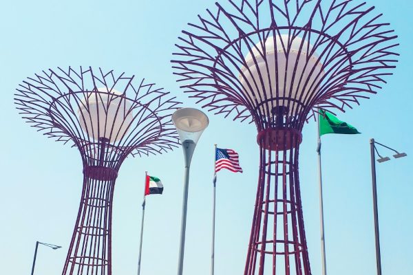 Decorative Metal Tree With LED Lights